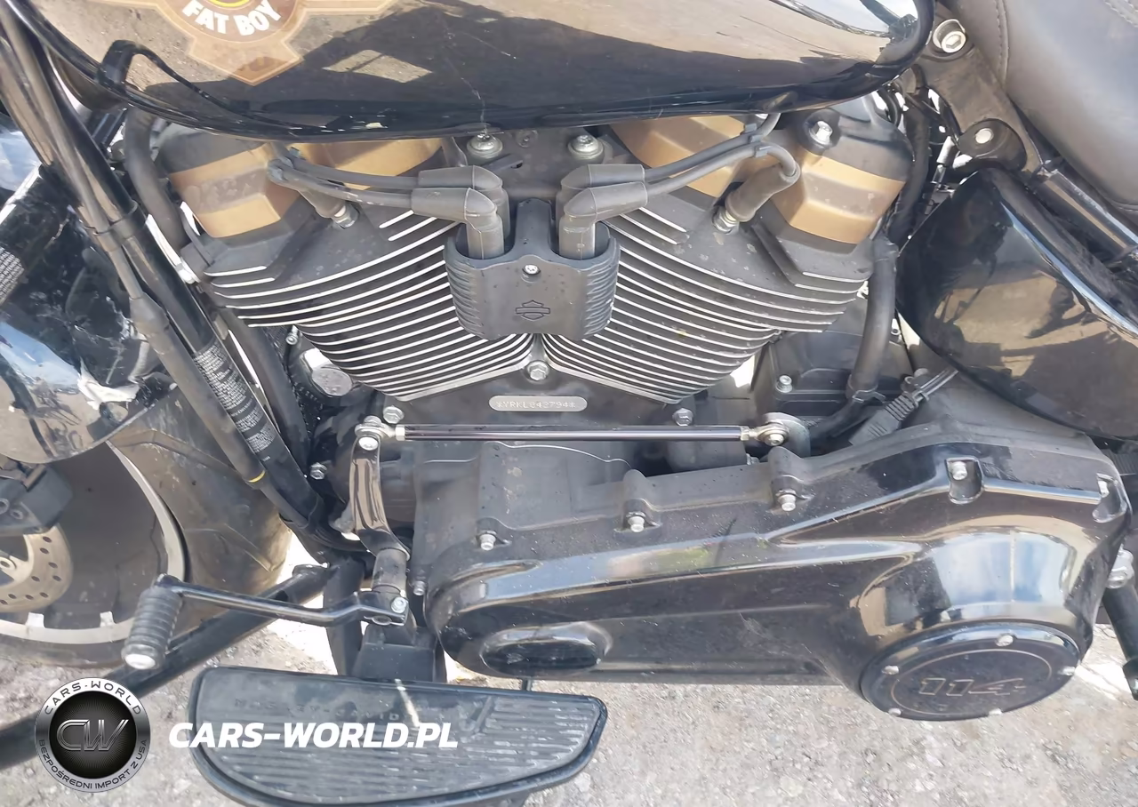 2020 Harley-Davidson Flfbsanv VIN:1HD1YRK19LB042794 - 9