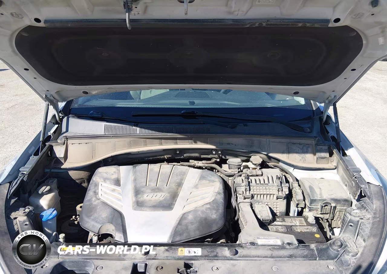 2016 Hyundai Santa Fe Se VIN:KM8SMDHF0GU157409 - 10