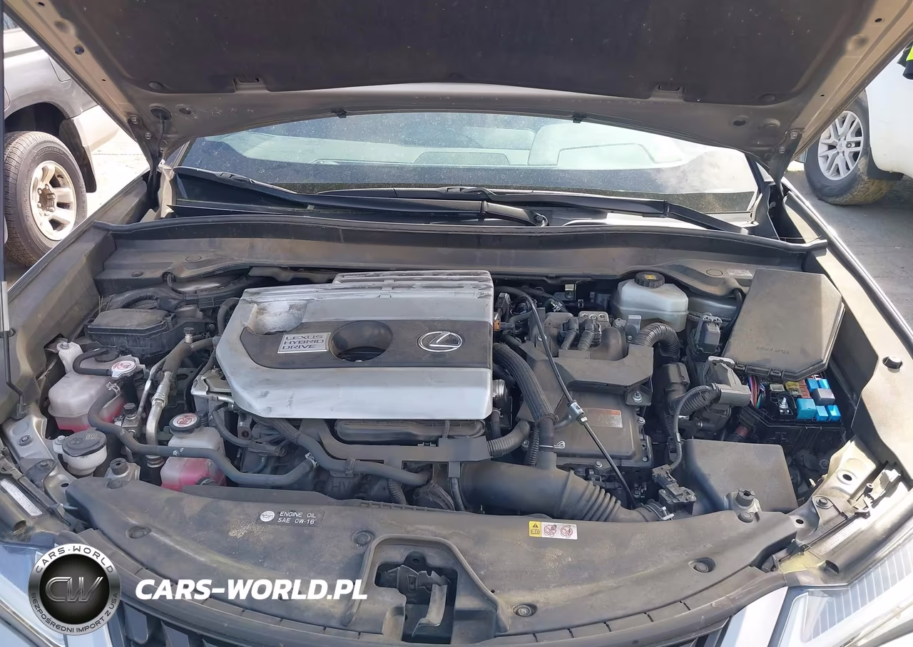 2020 Lexus Ux 250H VIN:JTHP9JBH1L2020360 - 10