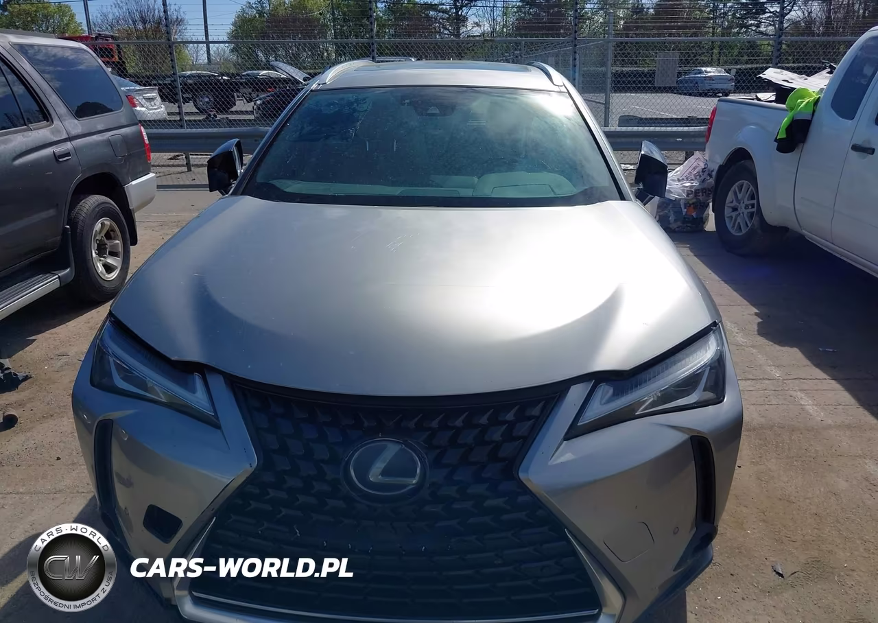 2020 Lexus Ux 250H VIN:JTHP9JBH1L2020360 - 12
