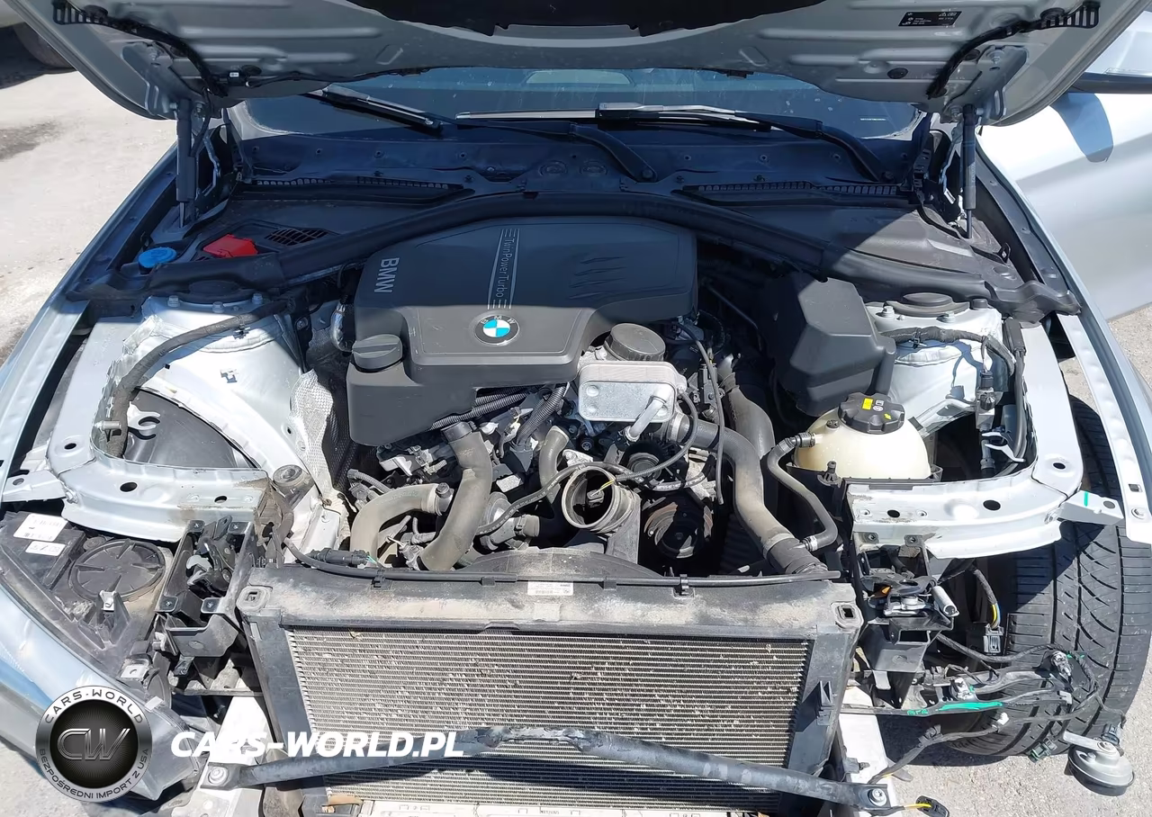 2016 BMW 428I Gran Coupe VIN:WBA4A9C51GG695310 - 10