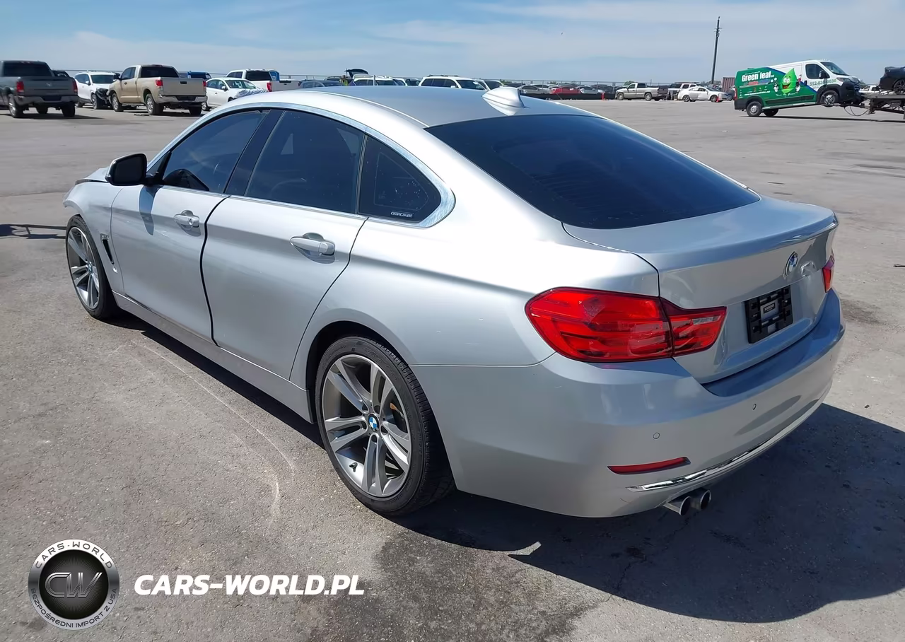2016 BMW 428I Gran Coupe VIN:WBA4A9C51GG695310 - 3