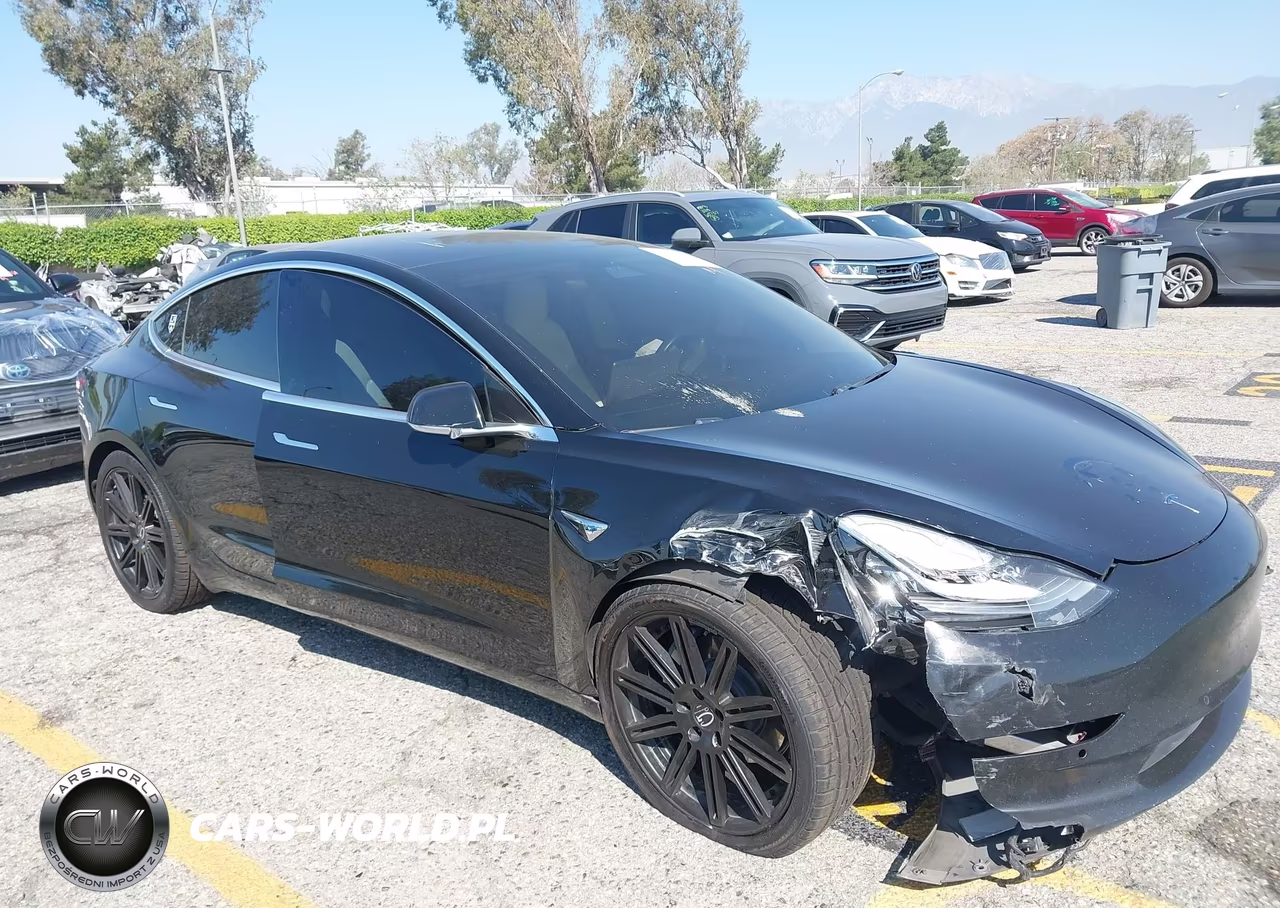 2019 Tesla Model 3 Long Range-Performance