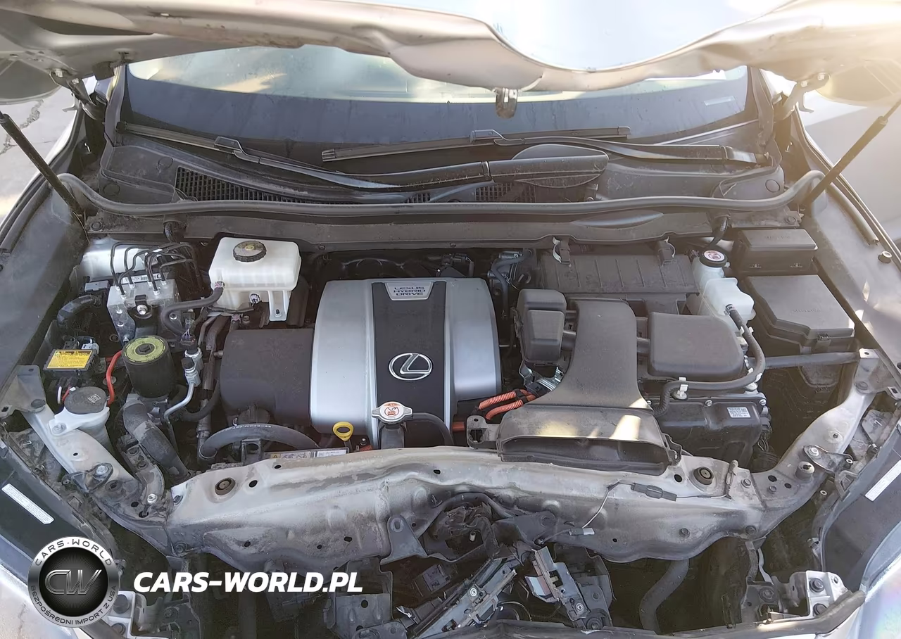 2020 Lexus Rx 450Hl VIN:JTJHGKFA9L2009506 - 10
