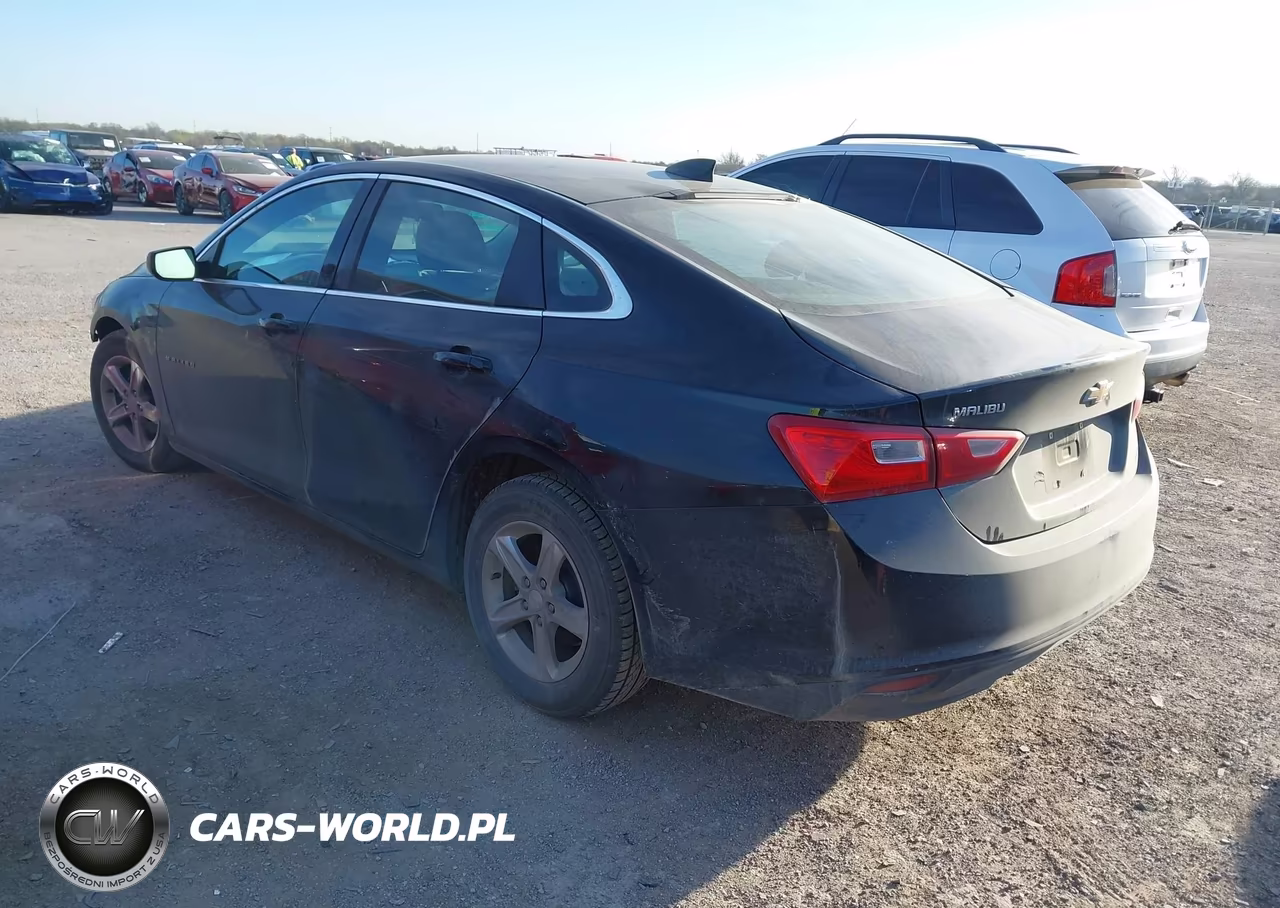 2019 Chevrolet Malibu 1Ls VIN:1G1ZB5ST8KF220520 - 3