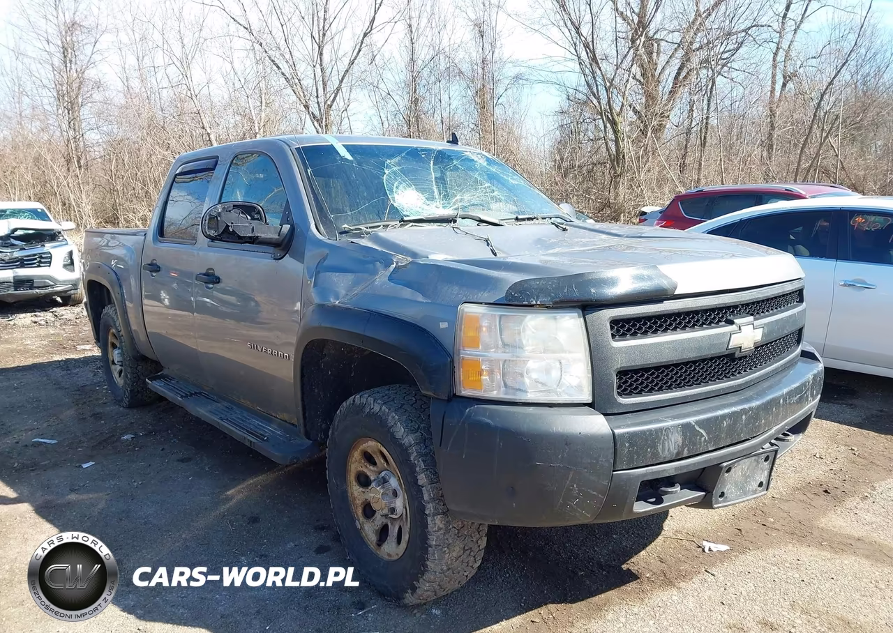 2008 Chevrolet Silverado 1500 Work Truck