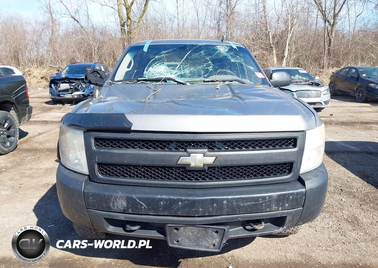 2008 Chevrolet Silverado 1500 Work Truck VIN:2GCEK13J181252754 - 12