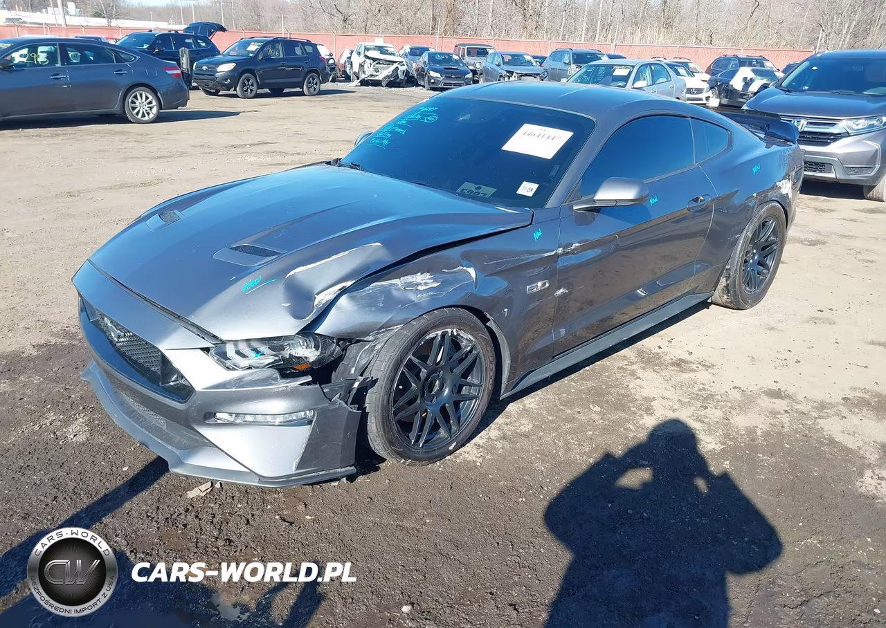 2023 Ford Mustang Gt Fastback VIN:1FA6P8CF7P5303591 - 2