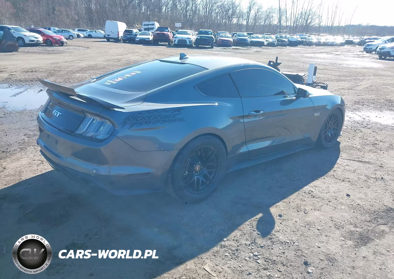 2023 Ford Mustang Gt Fastback VIN:1FA6P8CF7P5303591 - 4