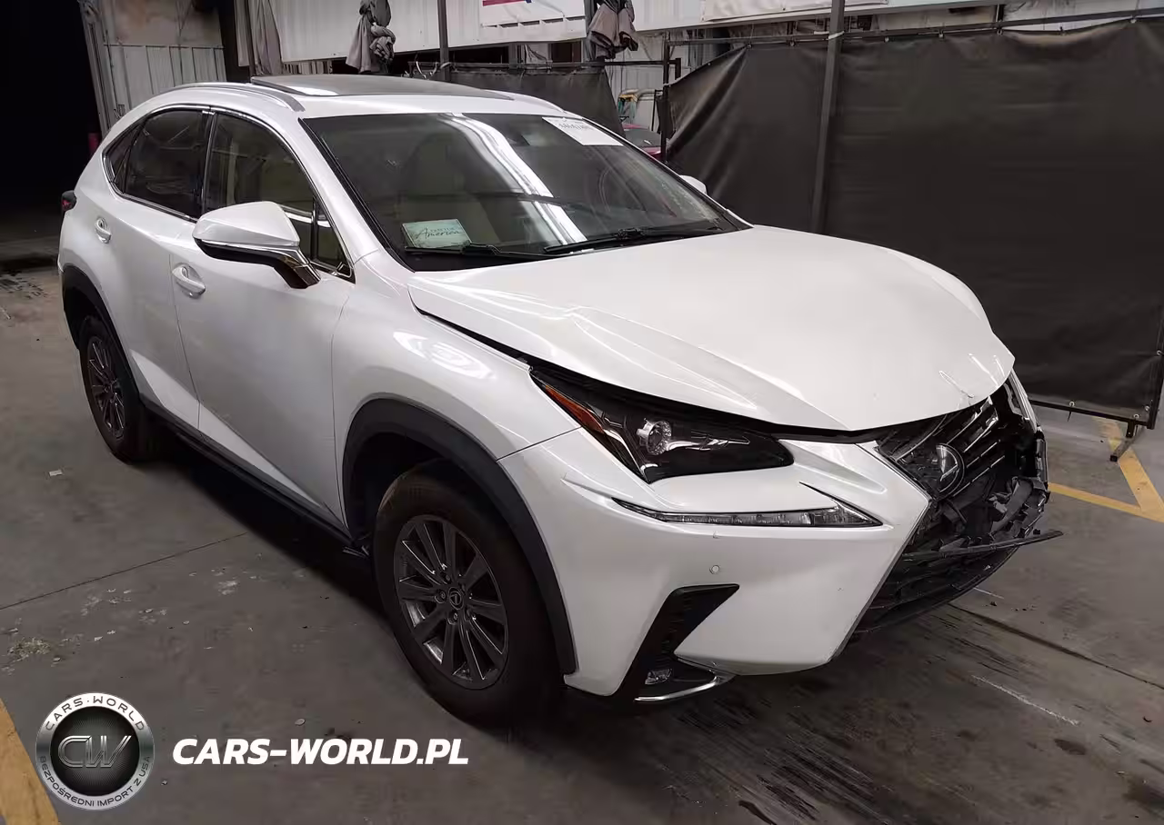 2019 Lexus Nx 300