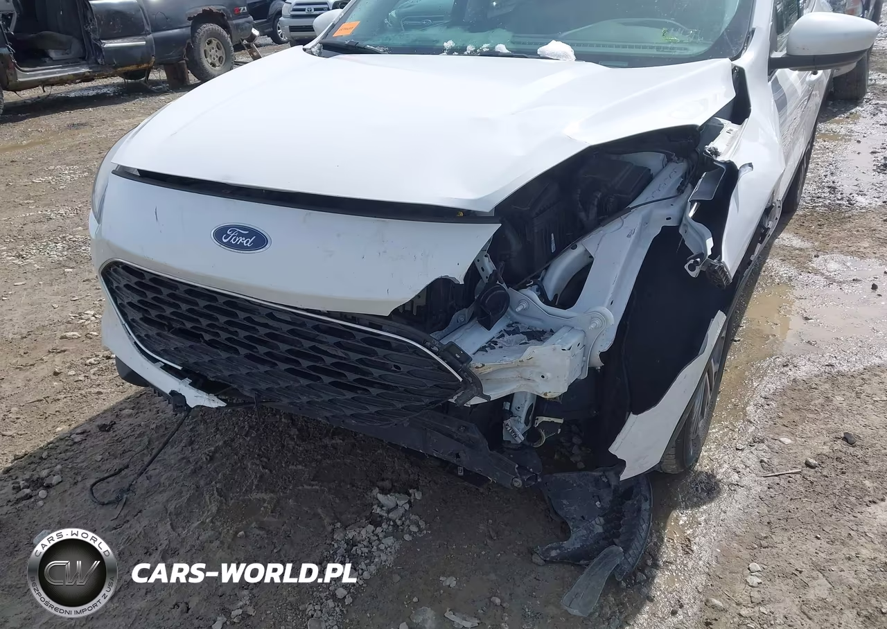 2022 Ford Escape Sel VIN:1FMCU9H90NUA43905 - 6