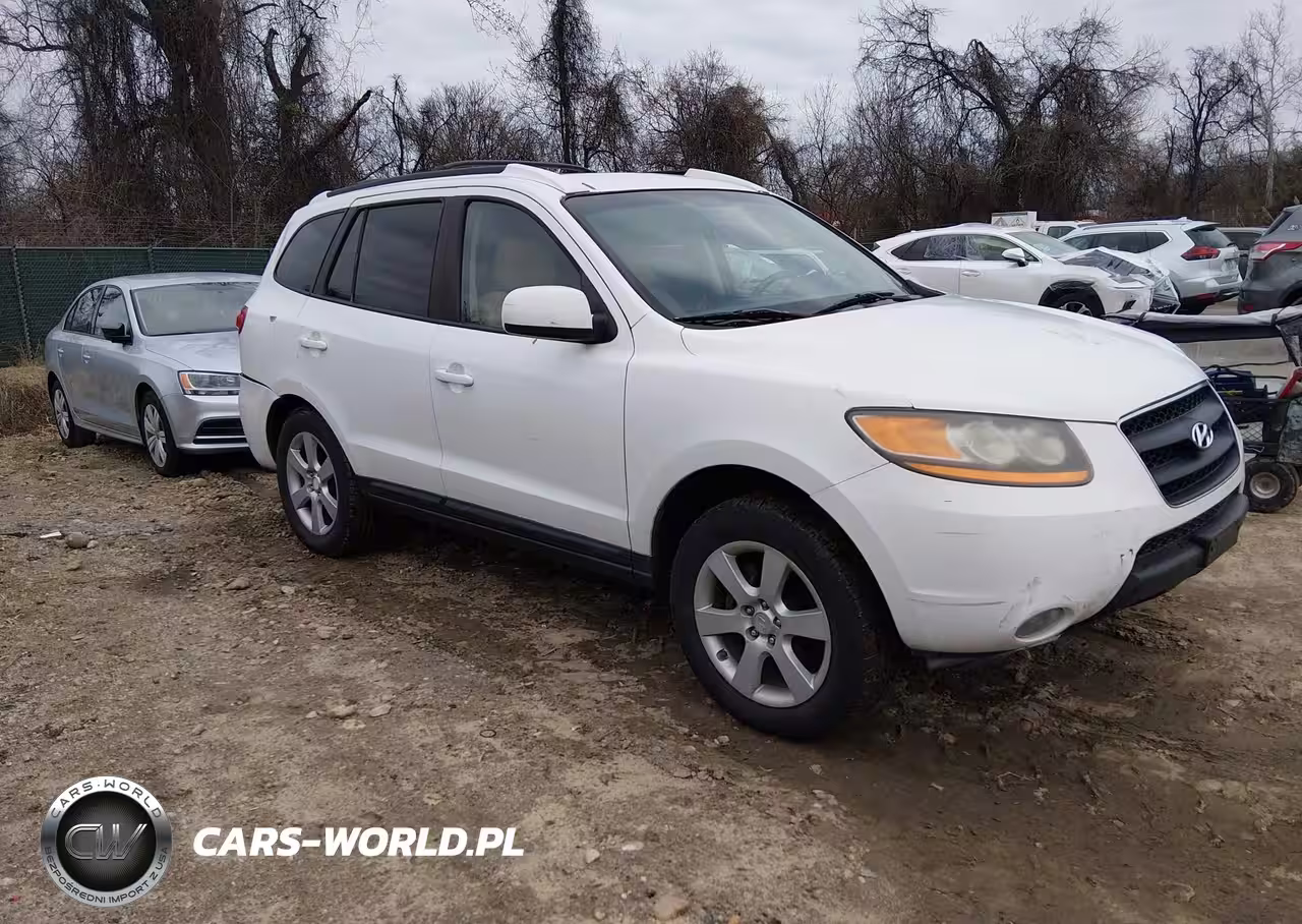 2009 Hyundai Santa Fe Se