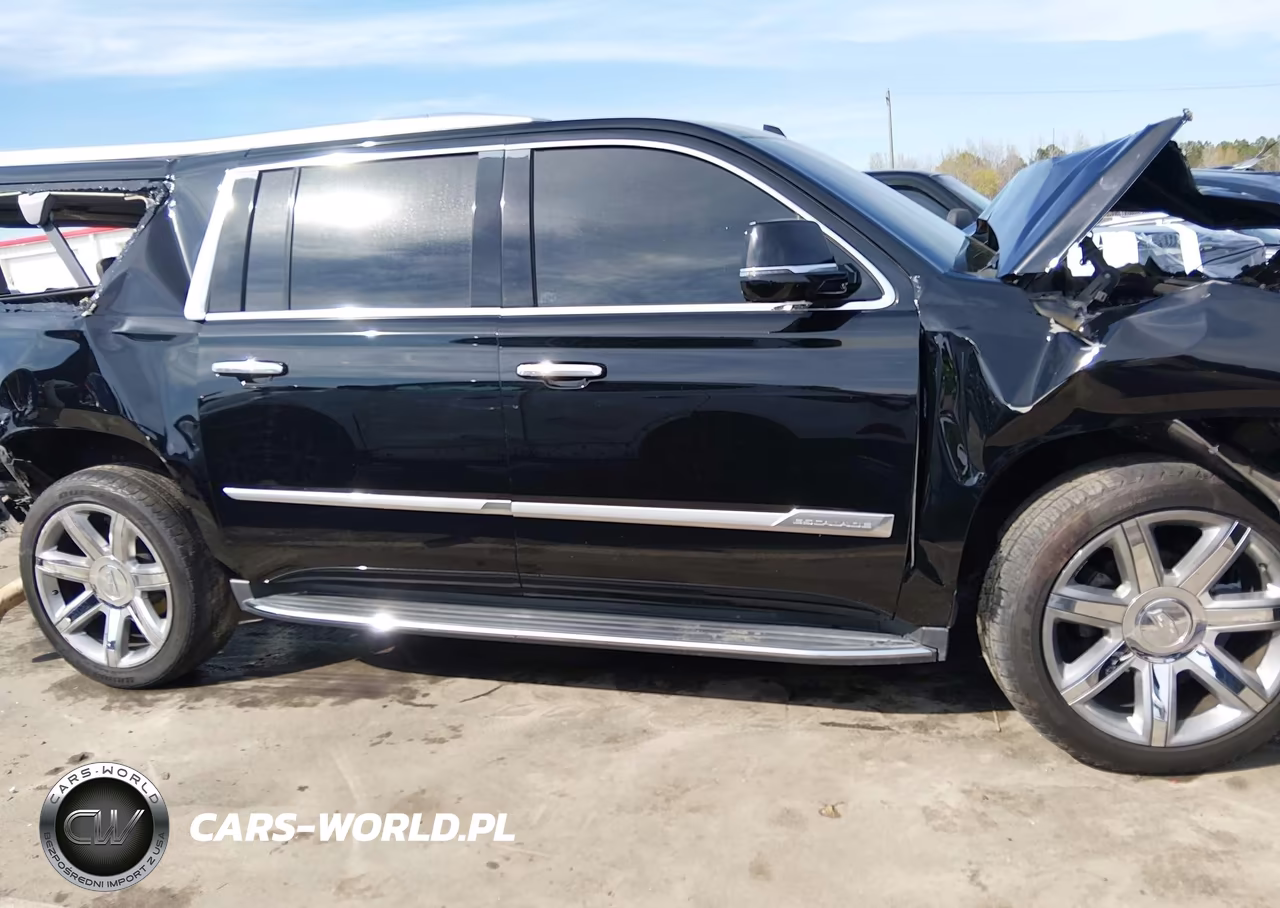 2019 Cadillac Escalade Esv Luxury VIN:1GYS3HKJ1KR294229 - 13