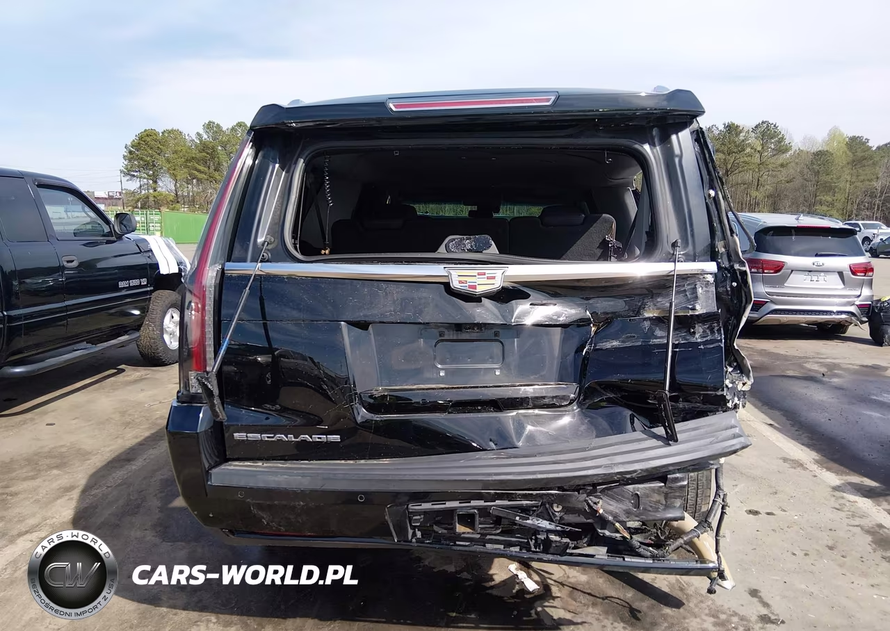 2019 Cadillac Escalade Esv Luxury VIN:1GYS3HKJ1KR294229 - 16