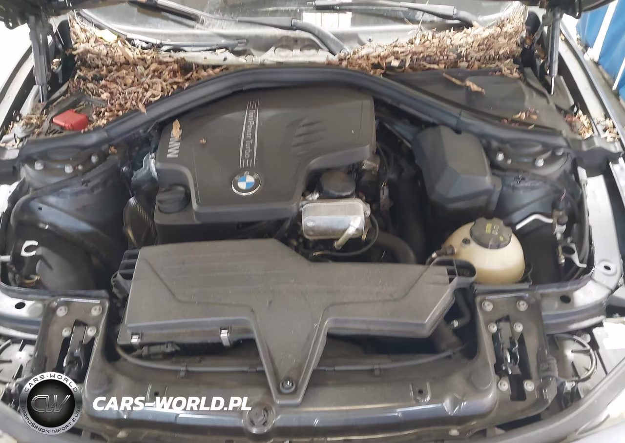 2016 BMW 428I VIN:WBA3N7C59GK228217 - 10
