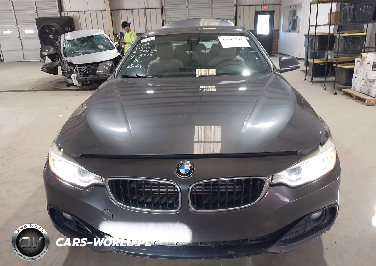 2016 BMW 428I VIN:WBA3N7C59GK228217 - 12