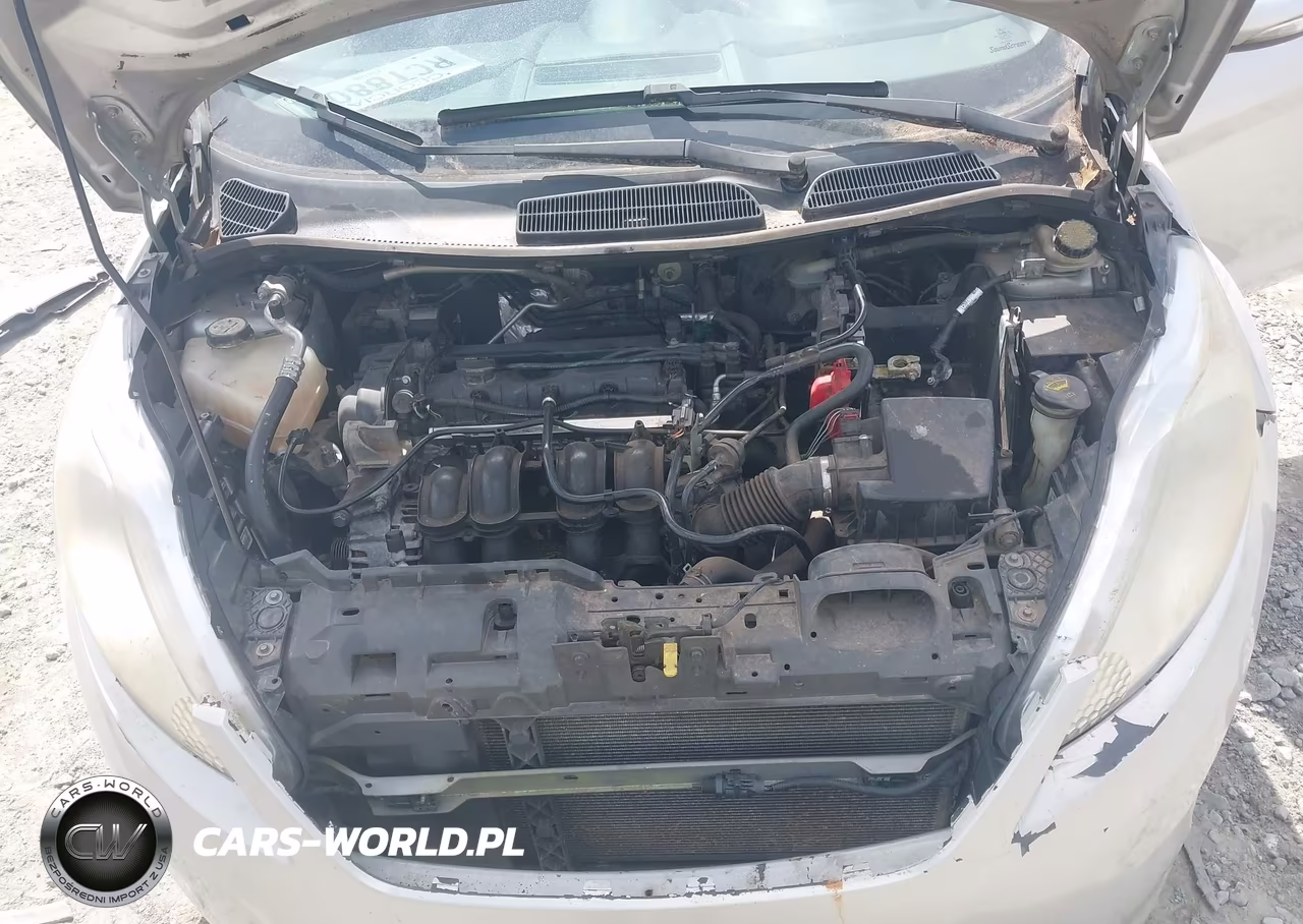 2013 Ford Fiesta Se VIN:3FADP4EJXDM131791 - 10