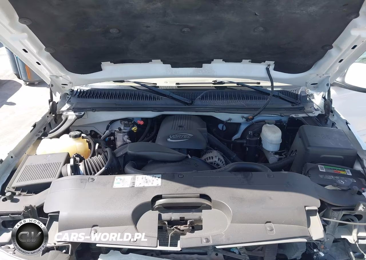 2004 Chevrolet Silverado 1500 Ls VIN:2GCEC19T441231865 - 10