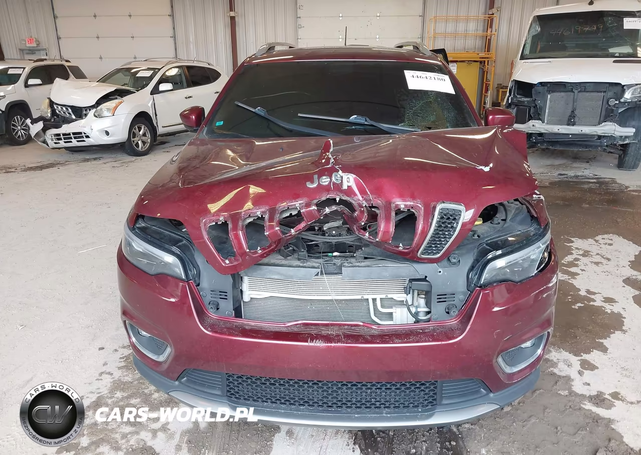 2019 Jeep Cherokee Limited 4X4 VIN:1C4PJMDX2KD230032 - 12