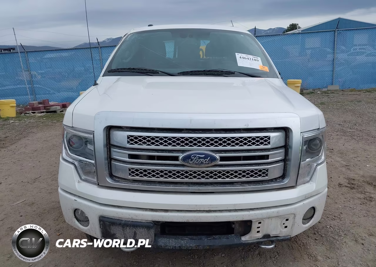 2013 Ford F-150 Platinum VIN:1FTFW1ET2DFD18514 - 13