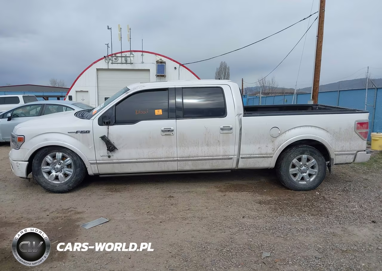 2013 Ford F-150 Platinum VIN:1FTFW1ET2DFD18514 - 15