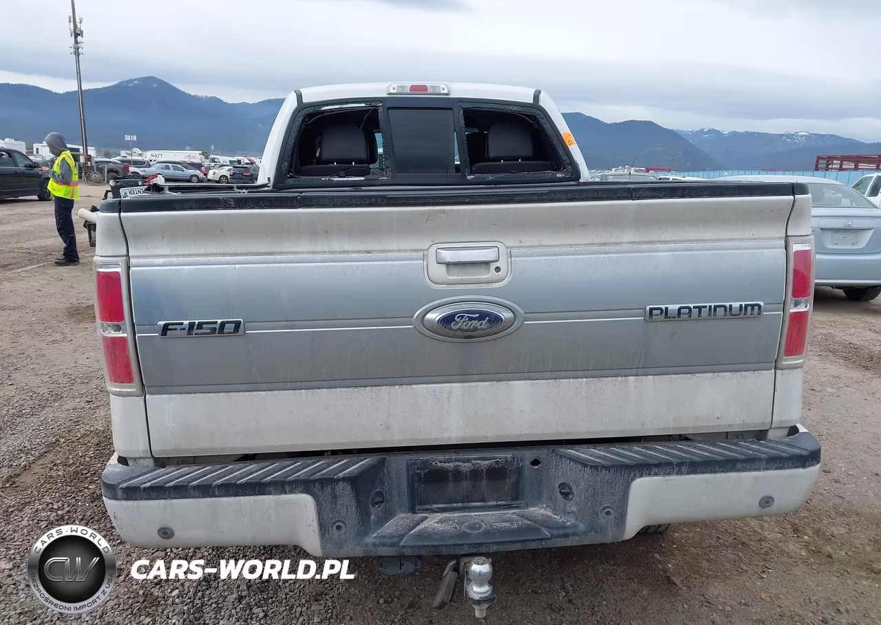 2013 Ford F-150 Platinum VIN:1FTFW1ET2DFD18514 - 17