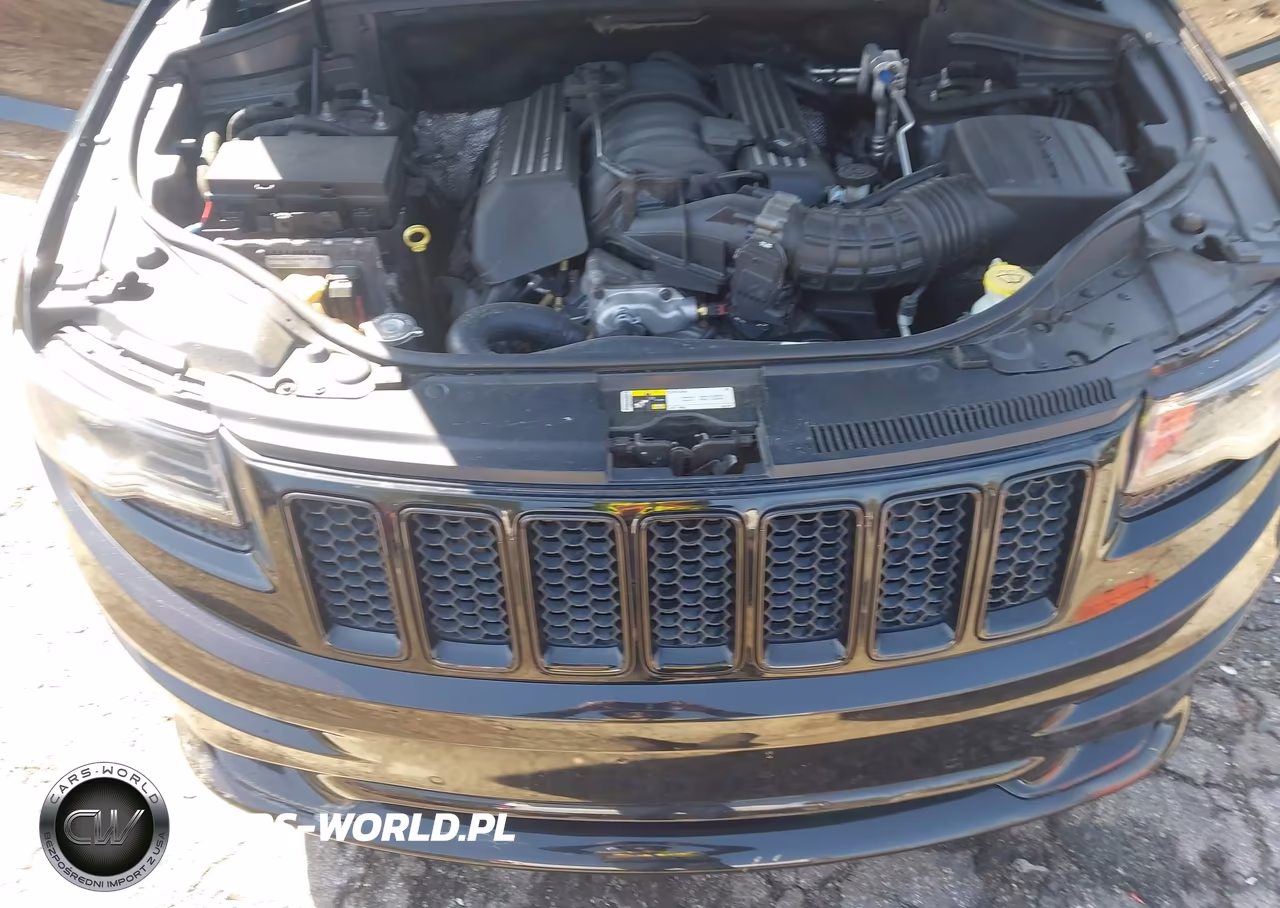 2014 Jeep Grand Cherokee Srt8 VIN:1C4RJFDJ0EC587316 - 10