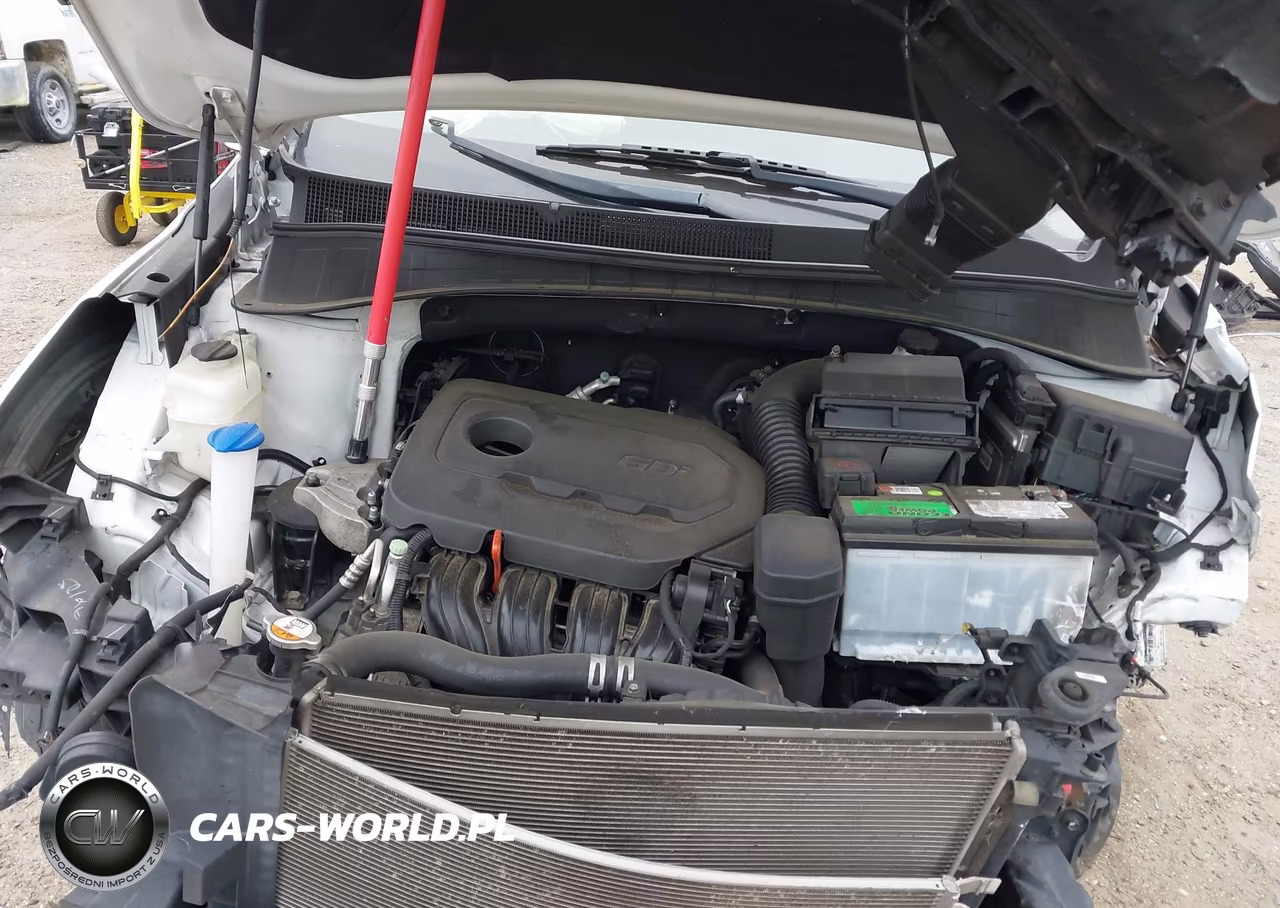 2018 Kia Sorento 2.4L Lx VIN:5XYPG4A3XJG353075 - 10