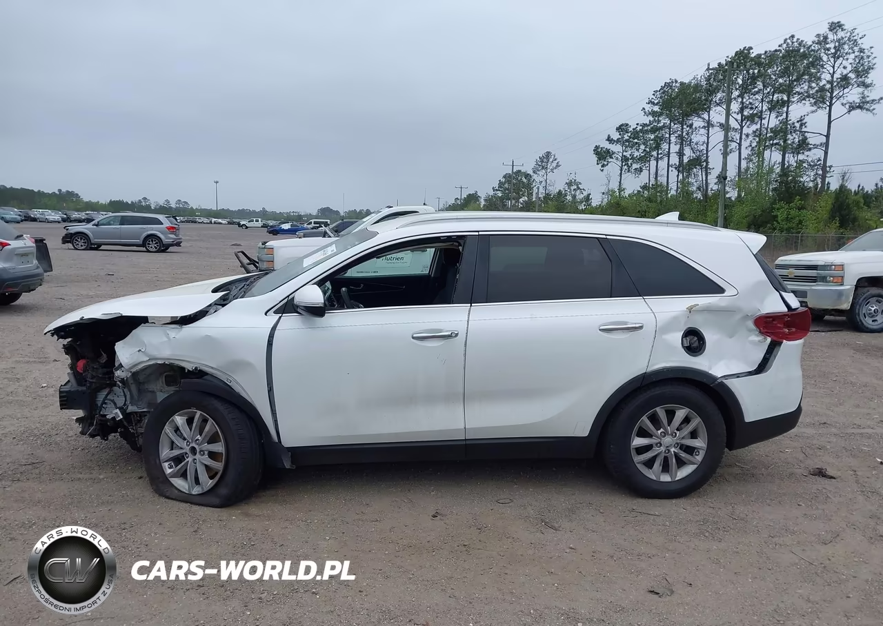 2018 Kia Sorento 2.4L Lx VIN:5XYPG4A3XJG353075 - 13
