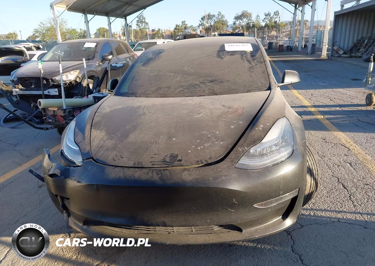 2019 Tesla Model 3 Long Range-Mid Range-Standard Range-Standard Range Plus VIN:5YJ3E1EA7KF396423 - 11