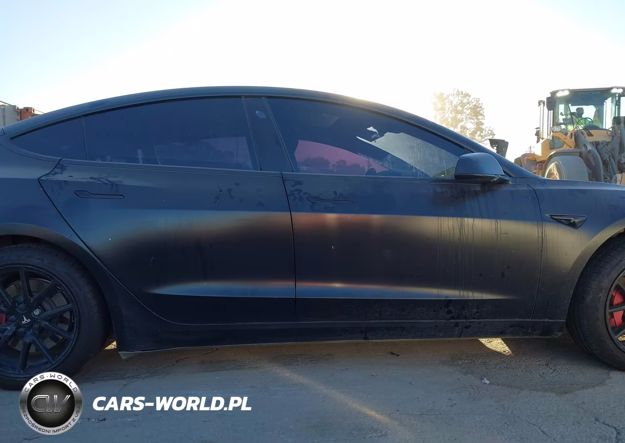 2019 Tesla Model 3 Long Range-Mid Range-Standard Range-Standard Range Plus VIN:5YJ3E1EA7KF396423 - 12