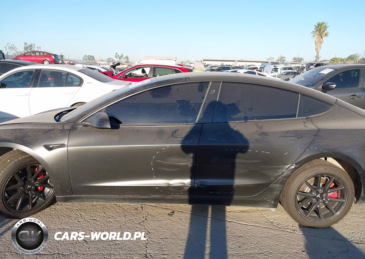 2019 Tesla Model 3 Long Range-Mid Range-Standard Range-Standard Range Plus VIN:5YJ3E1EA7KF396423 - 13