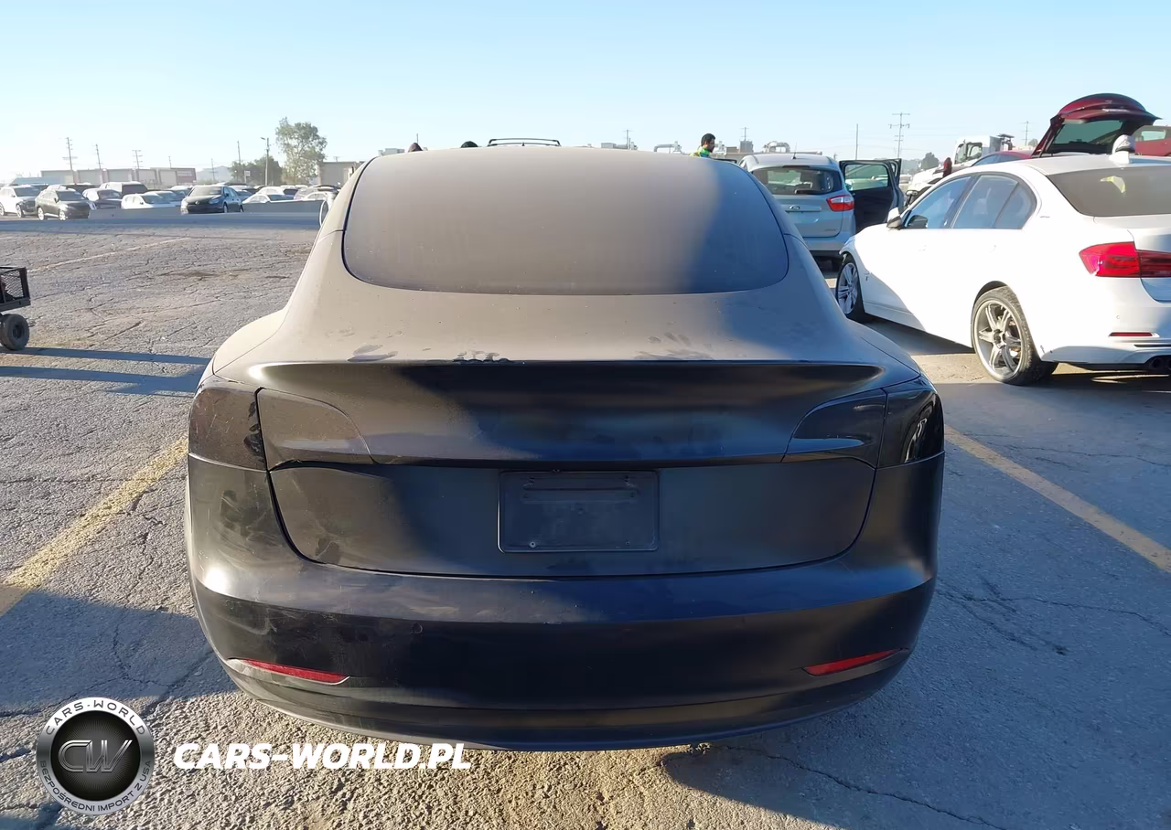 2019 Tesla Model 3 Long Range-Mid Range-Standard Range-Standard Range Plus VIN:5YJ3E1EA7KF396423 - 15