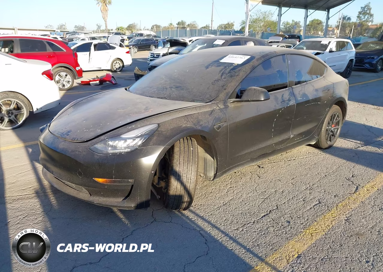 2019 Tesla Model 3 Long Range-Mid Range-Standard Range-Standard Range Plus VIN:5YJ3E1EA7KF396423 - 2