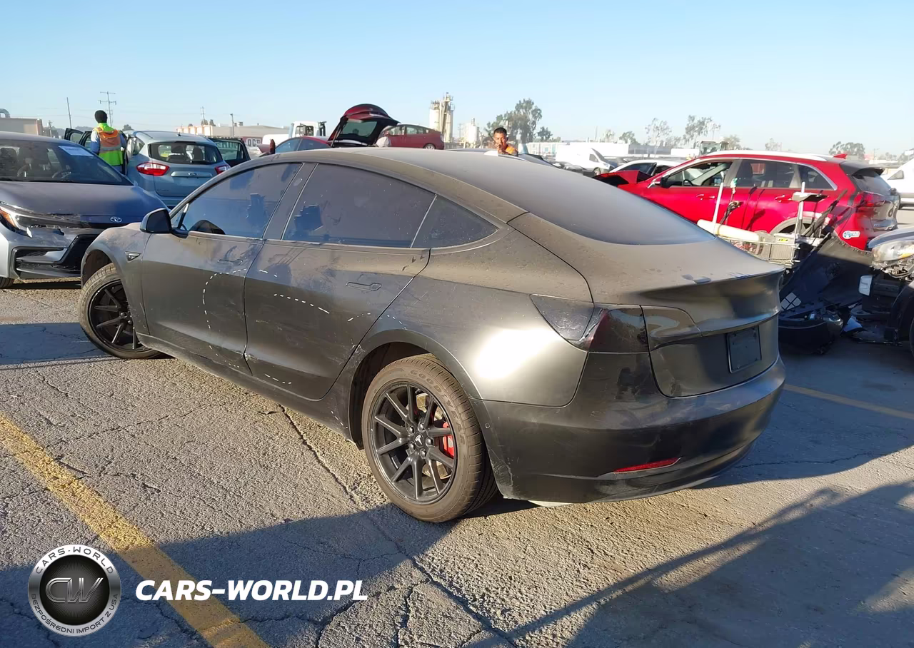 2019 Tesla Model 3 Long Range-Mid Range-Standard Range-Standard Range Plus VIN:5YJ3E1EA7KF396423 - 3
