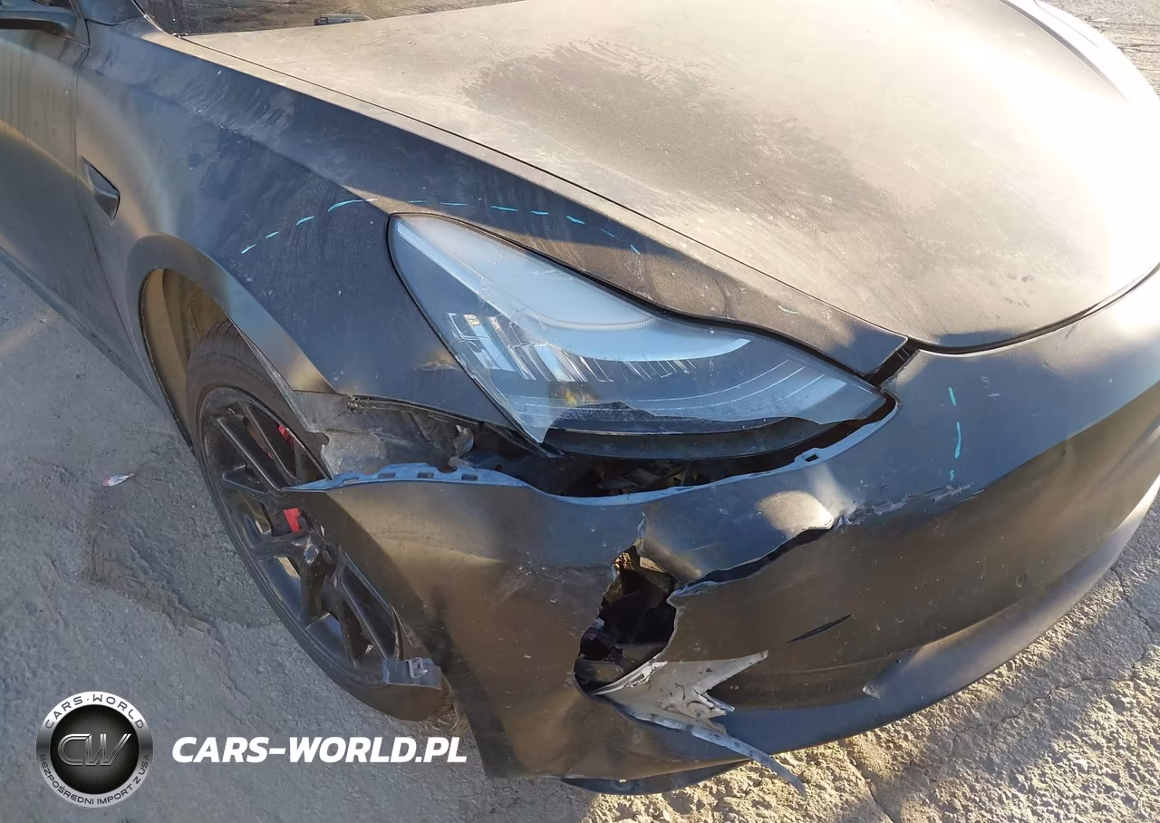 2019 Tesla Model 3 Long Range-Mid Range-Standard Range-Standard Range Plus VIN:5YJ3E1EA7KF396423 - 6
