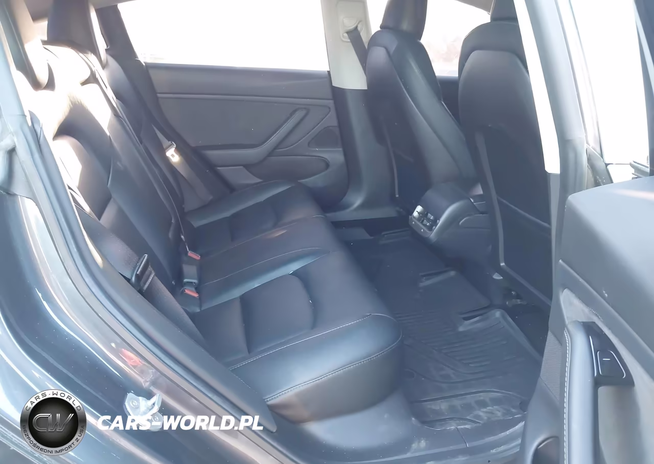 2019 Tesla Model 3 Long Range-Mid Range-Standard Range-Standard Range Plus VIN:5YJ3E1EA7KF396423 - 8