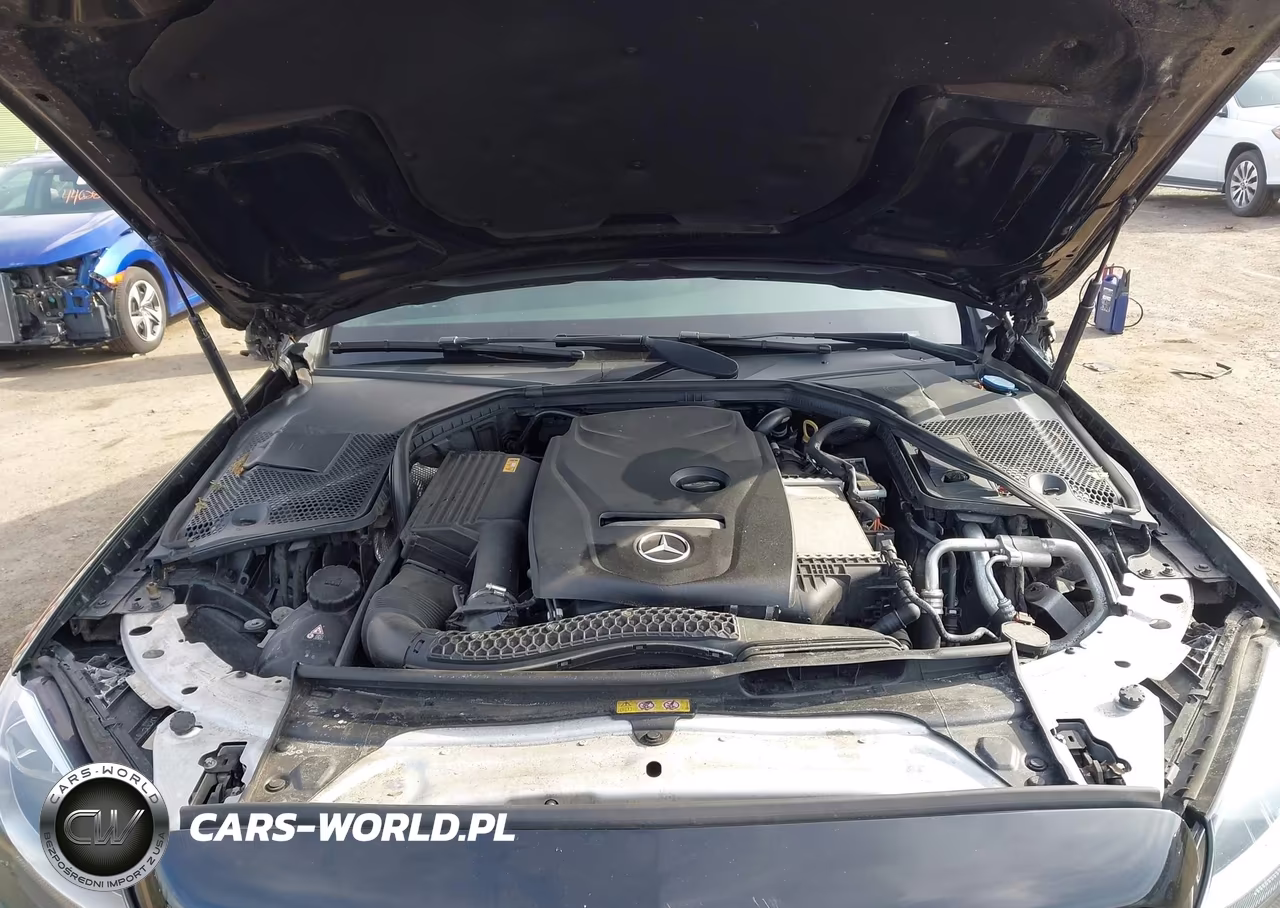 2018 Mercedes-Benz C 300 VIN:WDDWF4JB6JR401748 - 10