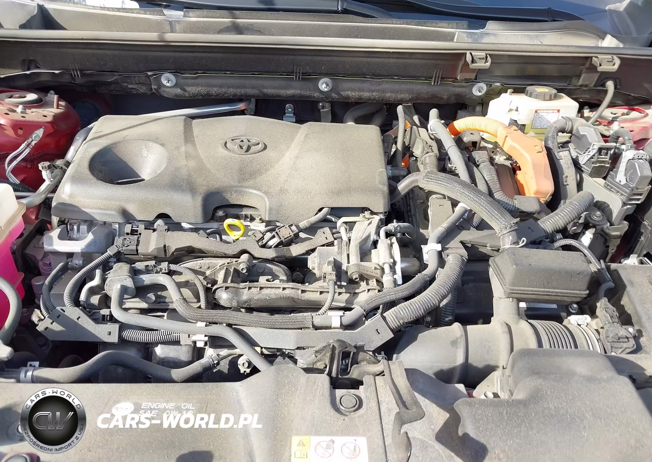 2019 Toyota Rav4 Hybrid Le VIN:JTMMWRFV4KJ004556 - 10