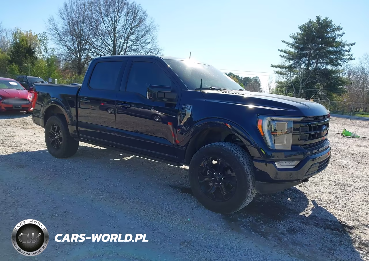 2023 Ford F-150 Platinum VIN:1FTFW1E57PFC79618 - 1