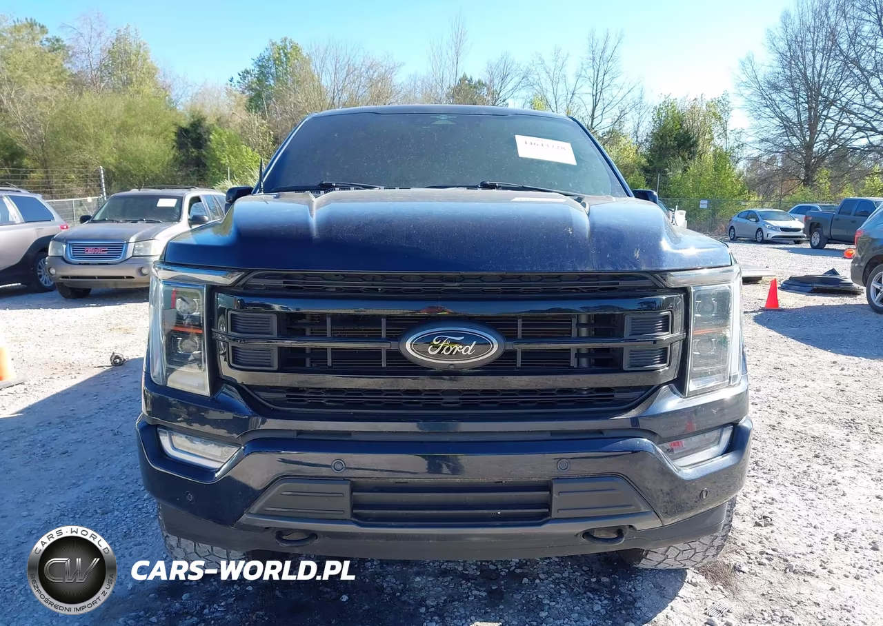 2023 Ford F-150 Platinum VIN:1FTFW1E57PFC79618 - 6