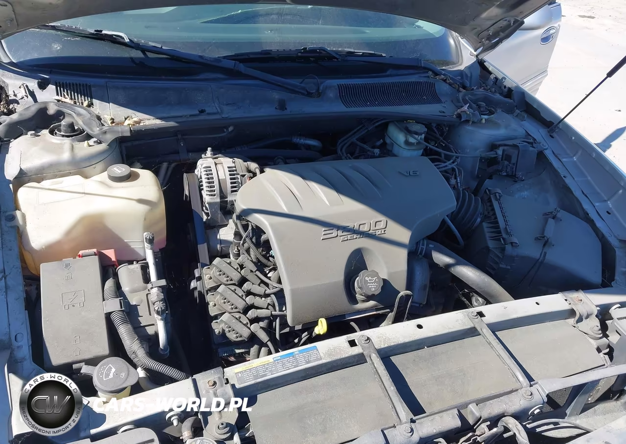 2004 Buick Lesabre Custom VIN:1G4HP52K144135668 - 10