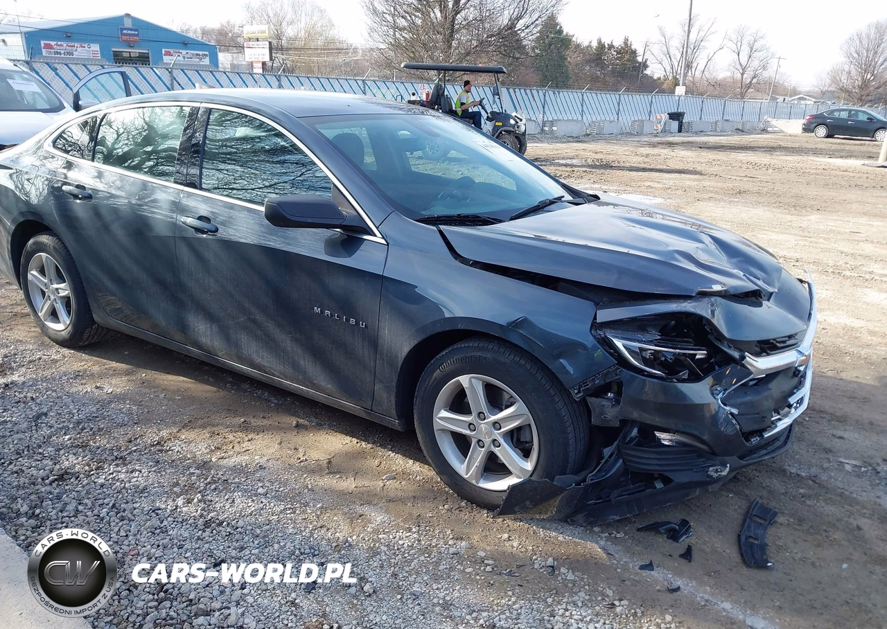 2019 Chevrolet Malibu 1Ls