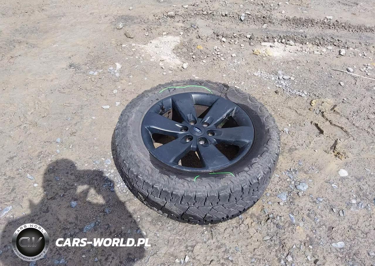 2014 Ford F-150 Fx4 VIN:1FTFX1ET3EFC49055 - 12