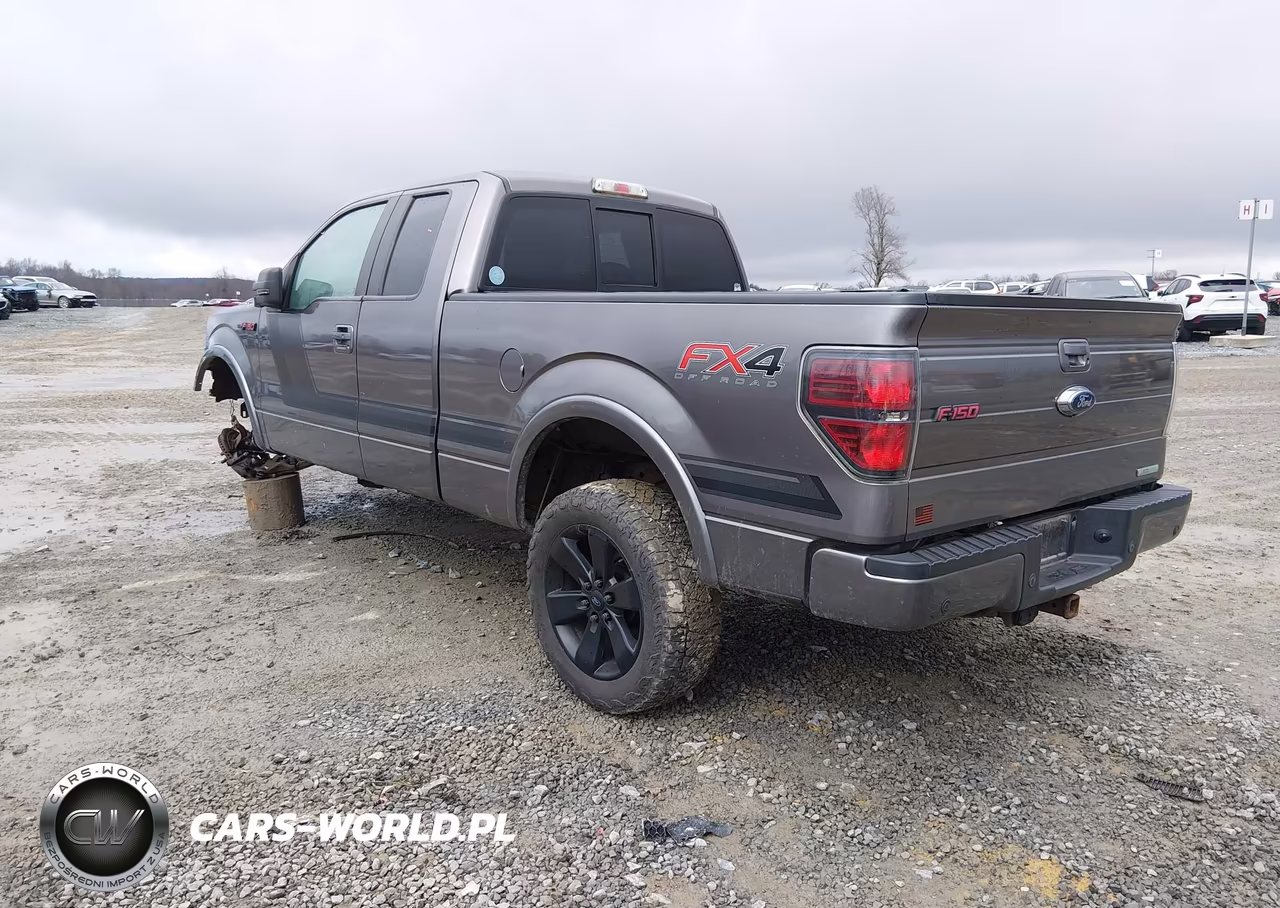 2014 Ford F-150 Fx4 VIN:1FTFX1ET3EFC49055 - 3