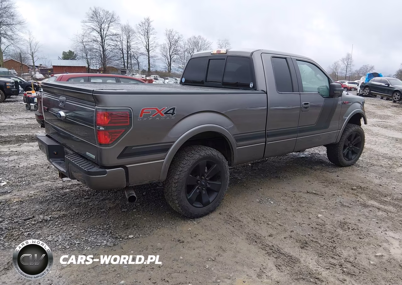 2014 Ford F-150 Fx4 VIN:1FTFX1ET3EFC49055 - 4
