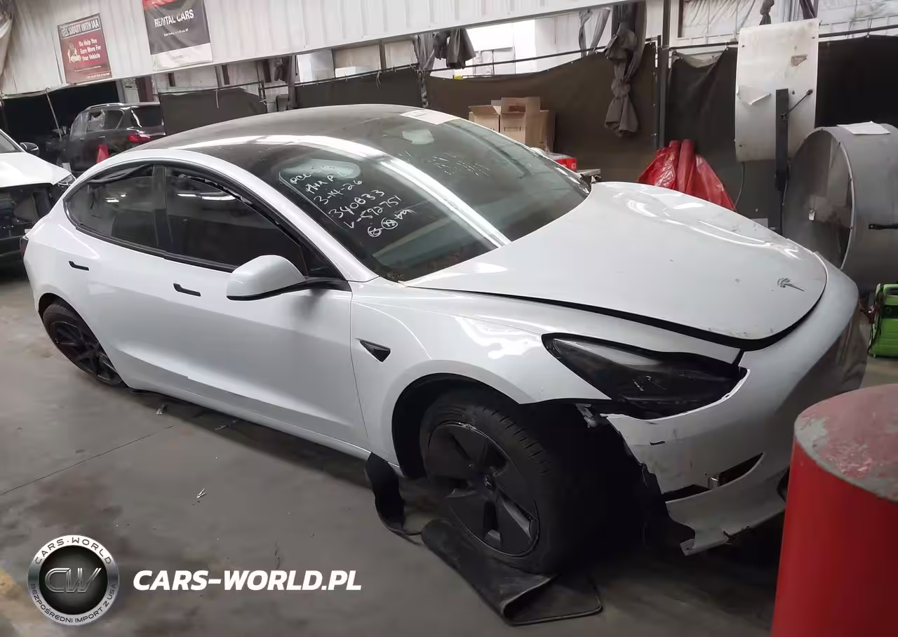 2023 Tesla Model 3 Rear-Wheel Drive