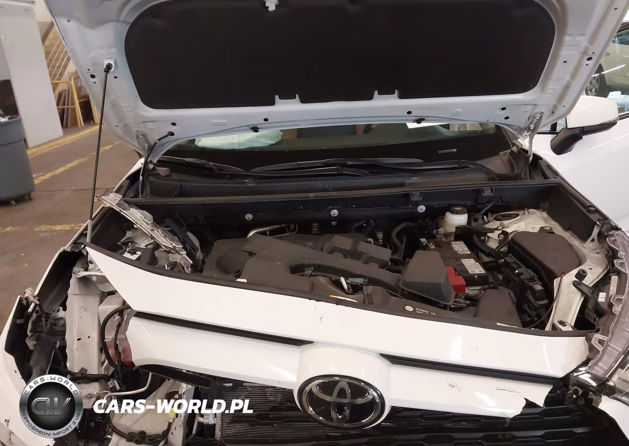 2025 Toyota Rav4 Xle VIN:2T3W1RFV1SC343916 - 10
