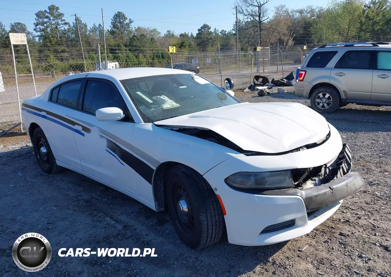 2020 Dodge Charger Police Awd