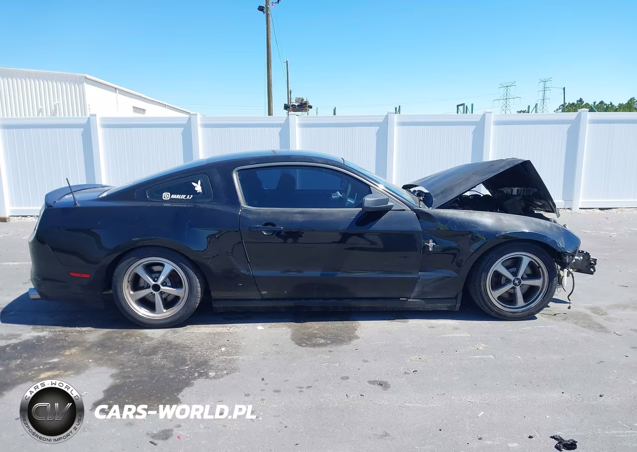 2014 Ford Mustang V6 VIN:1ZVBP8AM8E5334076 - 13